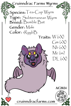 Mr. Dusk card.png