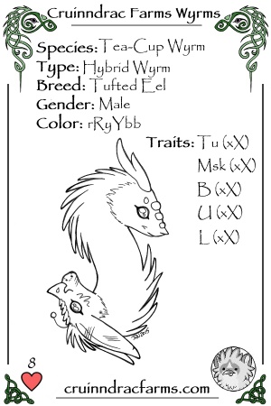 Snaggi card.jpg