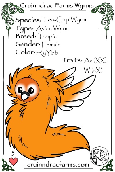 File:Tracer card.jpg