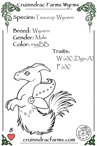 File:Wyvern Claws card.jpg