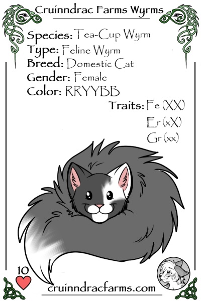 File:Graypaw card.jpg