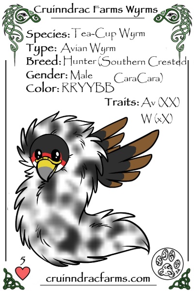 File:Mahogany card.jpg