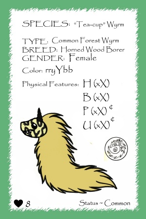 Tiramisu card.jpg