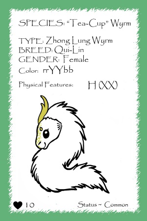 Sun on Snow card.jpg