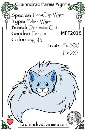 Kiara card.jpg