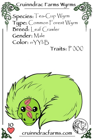 Pandango card.jpg