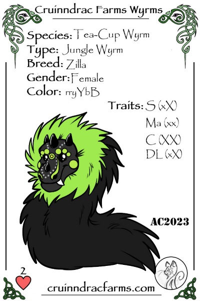File:Trance card.jpg