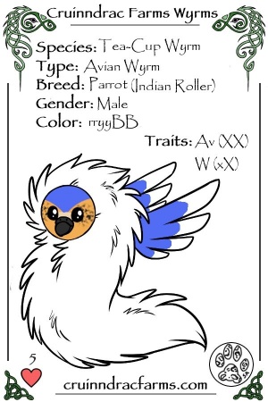 Bluebird card.jpg