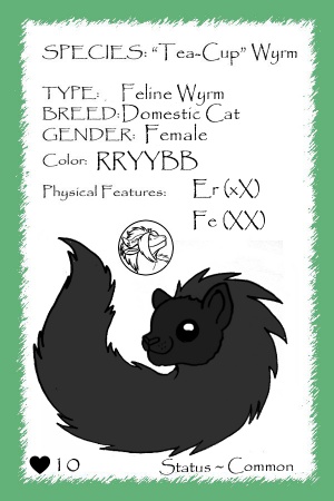 Stella Luna card.jpg