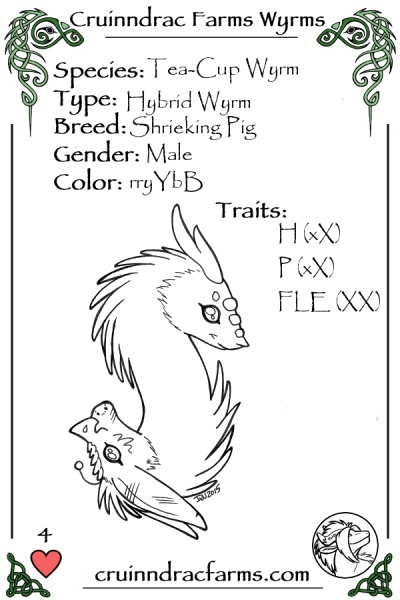 File:DevilHawg card.jpg