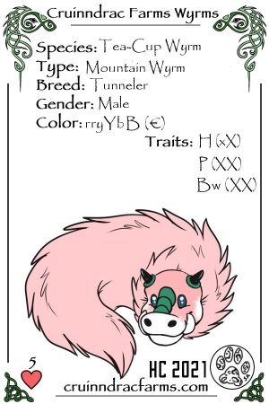 Strawberry Snortcake card.jpg