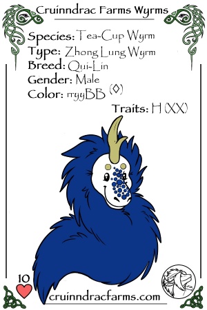 Stormcatcher card.jpg