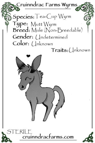 File:Vladdy card.jpg