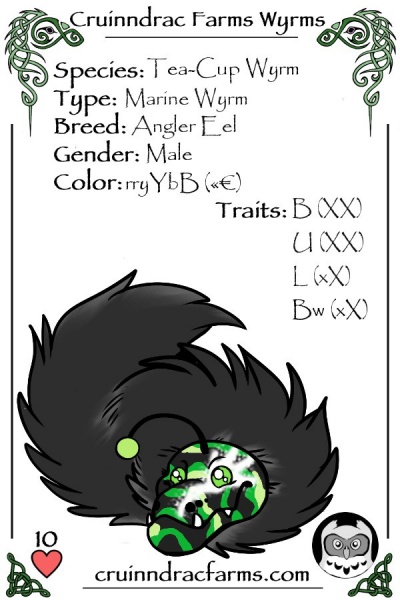 File:Kenny Omega card.jpg