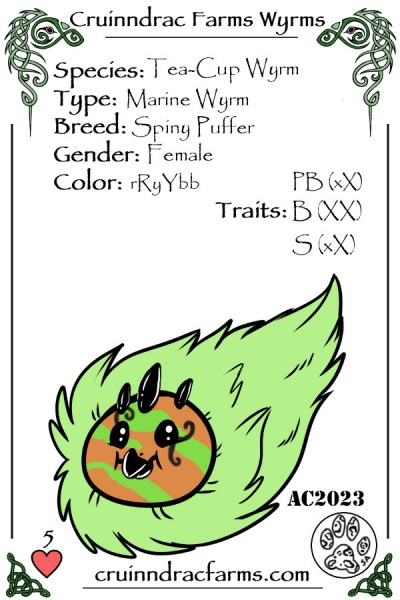 File:Semper card.jpg