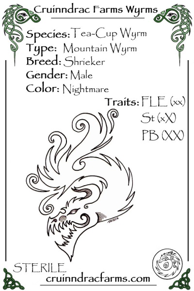 File:Drakkan card.jpg