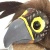 Falco icon.jpg