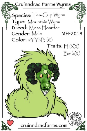 Gusty's Hrairoo card.jpg