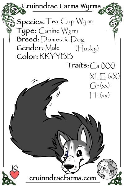 File:Siqnazuaq card.jpg