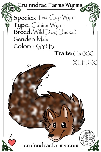 File:Tabaqui card.jpg