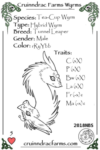File:Brach card.jpg
