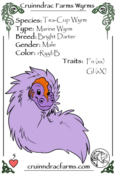 File:Giueseppe card.jpg