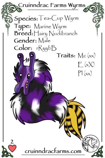 File:Magellan card.jpg