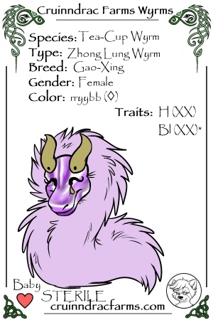 Ame card.jpg
