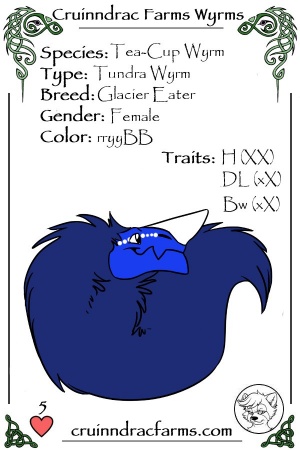 Icecube card.jpg