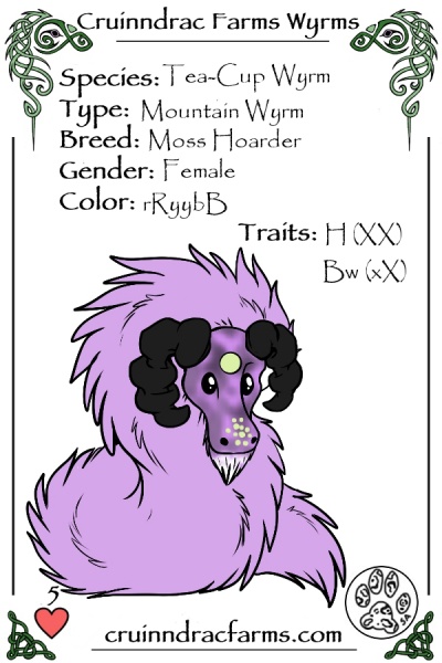 File:Cadence card.jpg