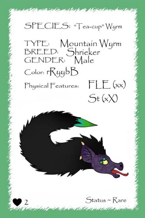Raven card.jpg