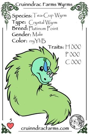 Epiphytes card.jpg