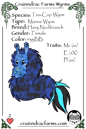 SS Amelia Earheart card.jpg