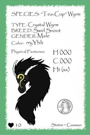 Turmeric card.jpg