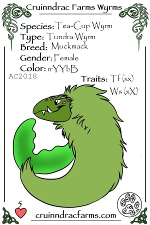 Swamp Thing card.jpg