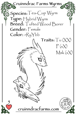 Catalina card.jpg