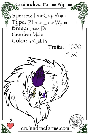 Silkie card.jpg