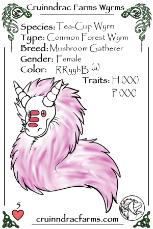Anora card.jpg