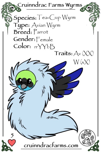 File:Morrigan card.jpg