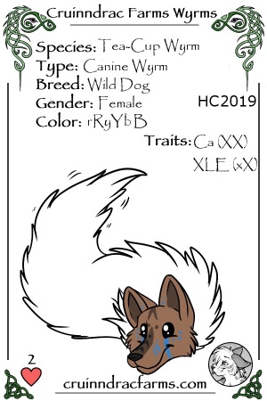 Anga card.jpg