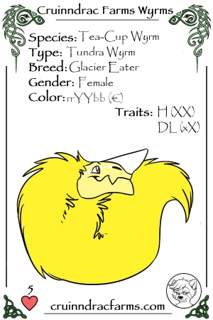 Pop Corn card.jpg