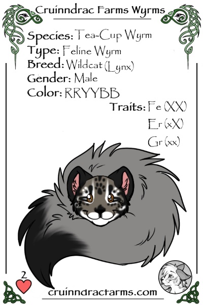 File:Geo Boulder card.jpg