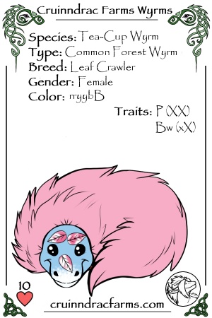 Peppermint Schnapps card.jpg