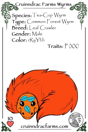 Agga card.jpg