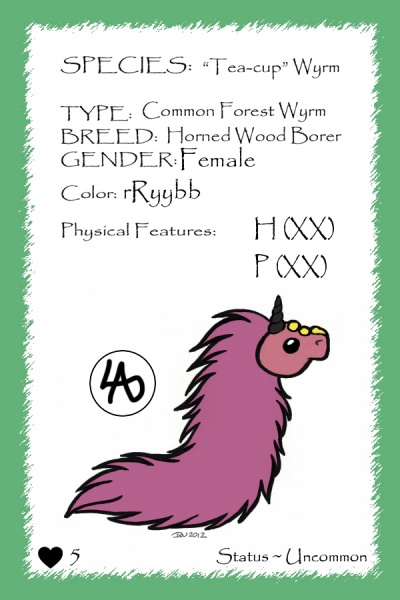 File:Dragonet card.jpg