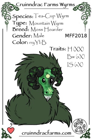 Gusty's Blackavar card.jpg