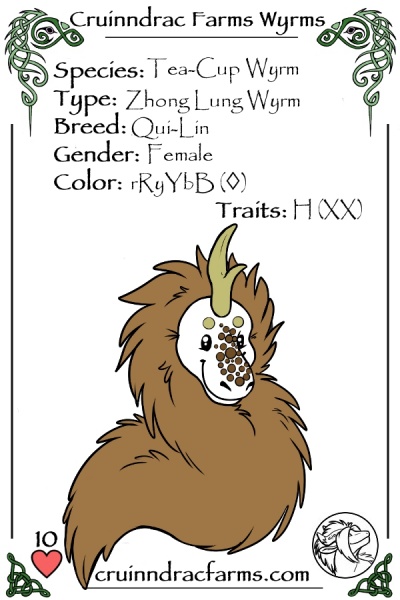 File:Catbus card.jpg