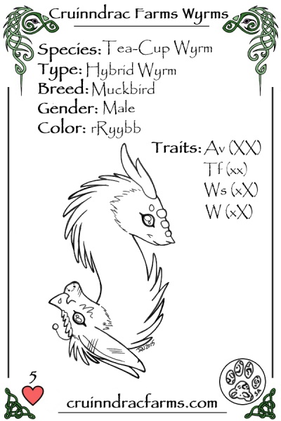 File:Priscilla card.jpg