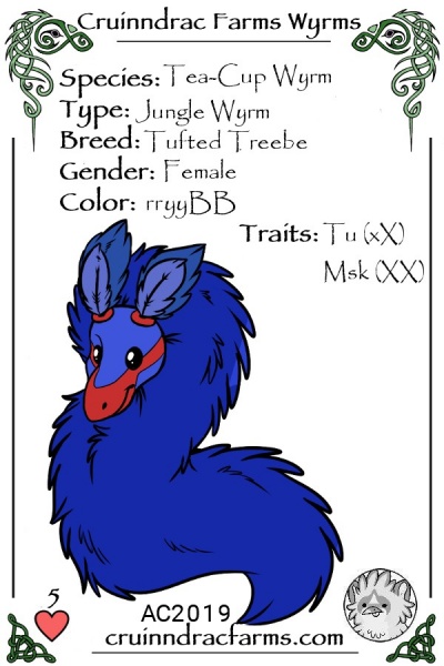 File:-Aster- card.jpg