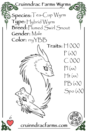 Fester card.png